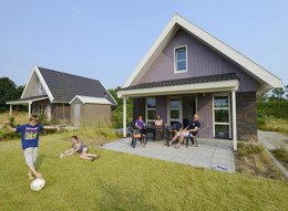 Holiday home de Heidebloem - Heidewoning