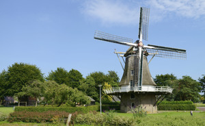 Tips uit de omgeving Tips uit de omgeving