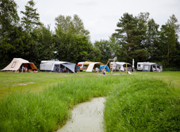 RCN Zeewolde | Basic pitch